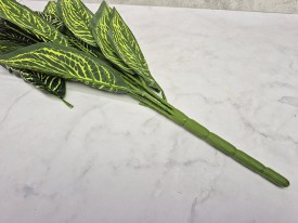 Planta hojas verdes largas